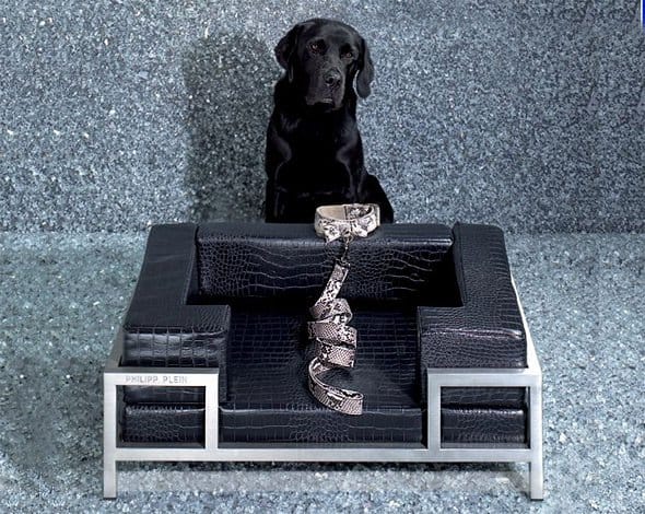philipp plein dog bed