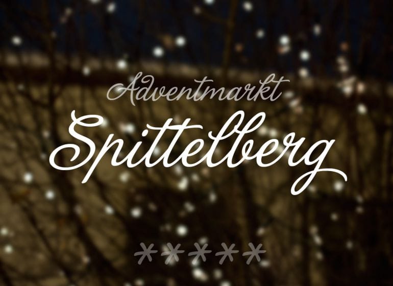 2010 adventmarkt spittelberg 01